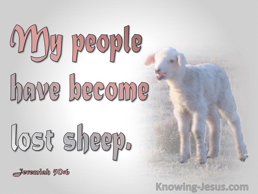 Jeremiah 50:6 My People Have Become Lost Sheep (pink)